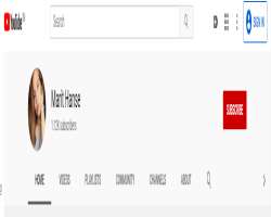 Hanse holds her own YouTube channel as well but she is not much active on Youtube.